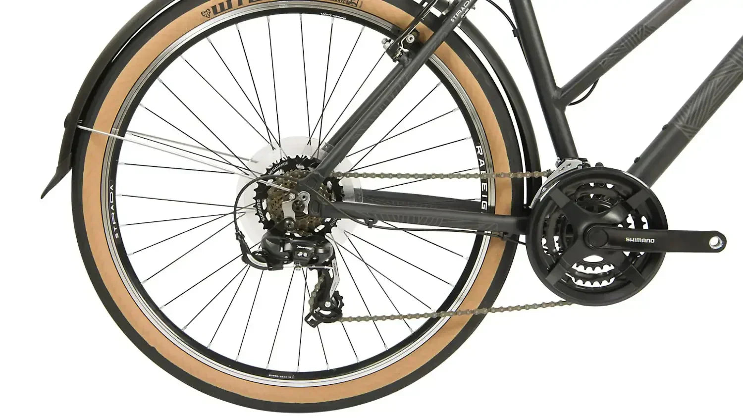 Bike Chain Maintenance