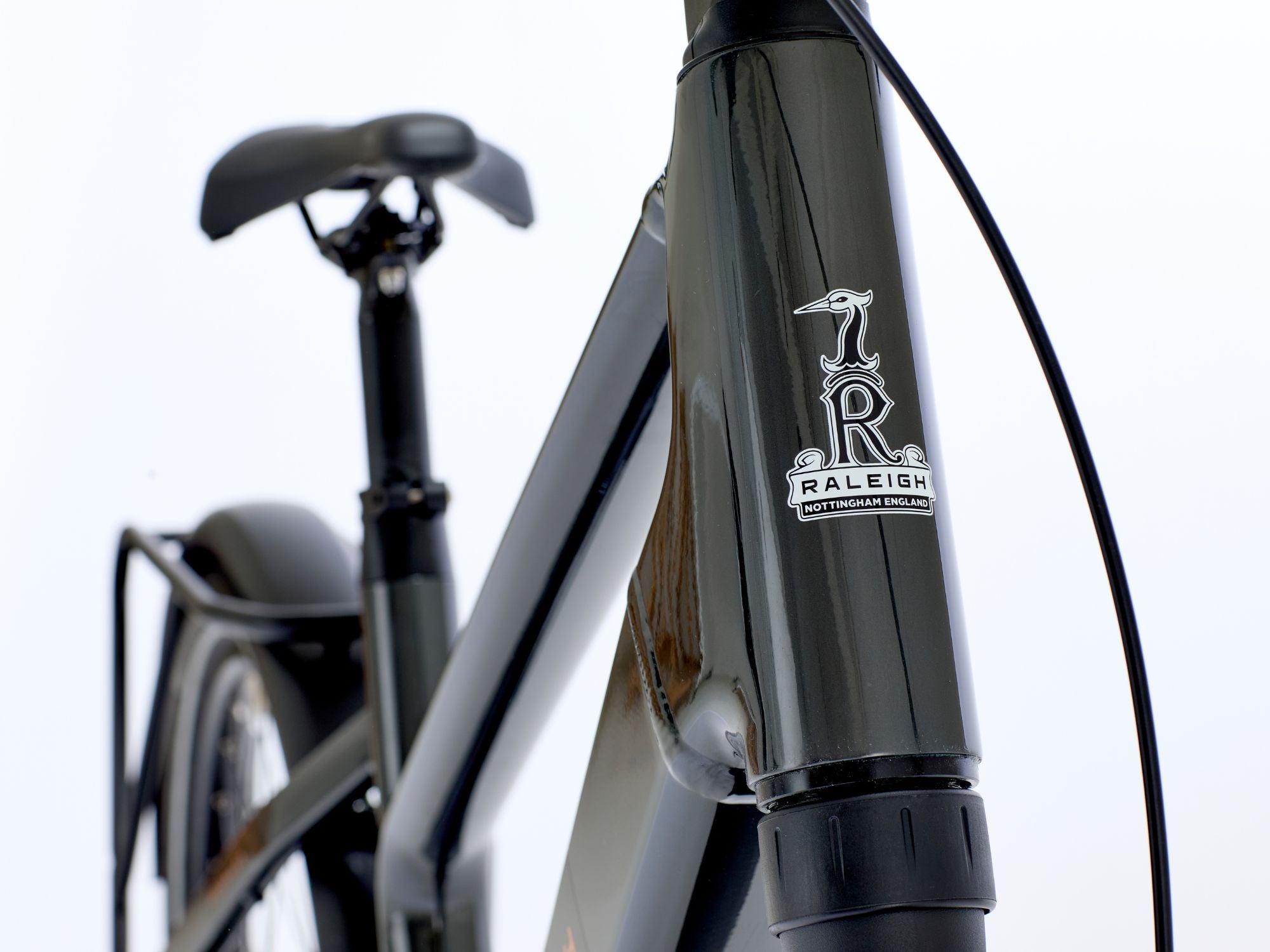 DETAIL-2_RIBT1