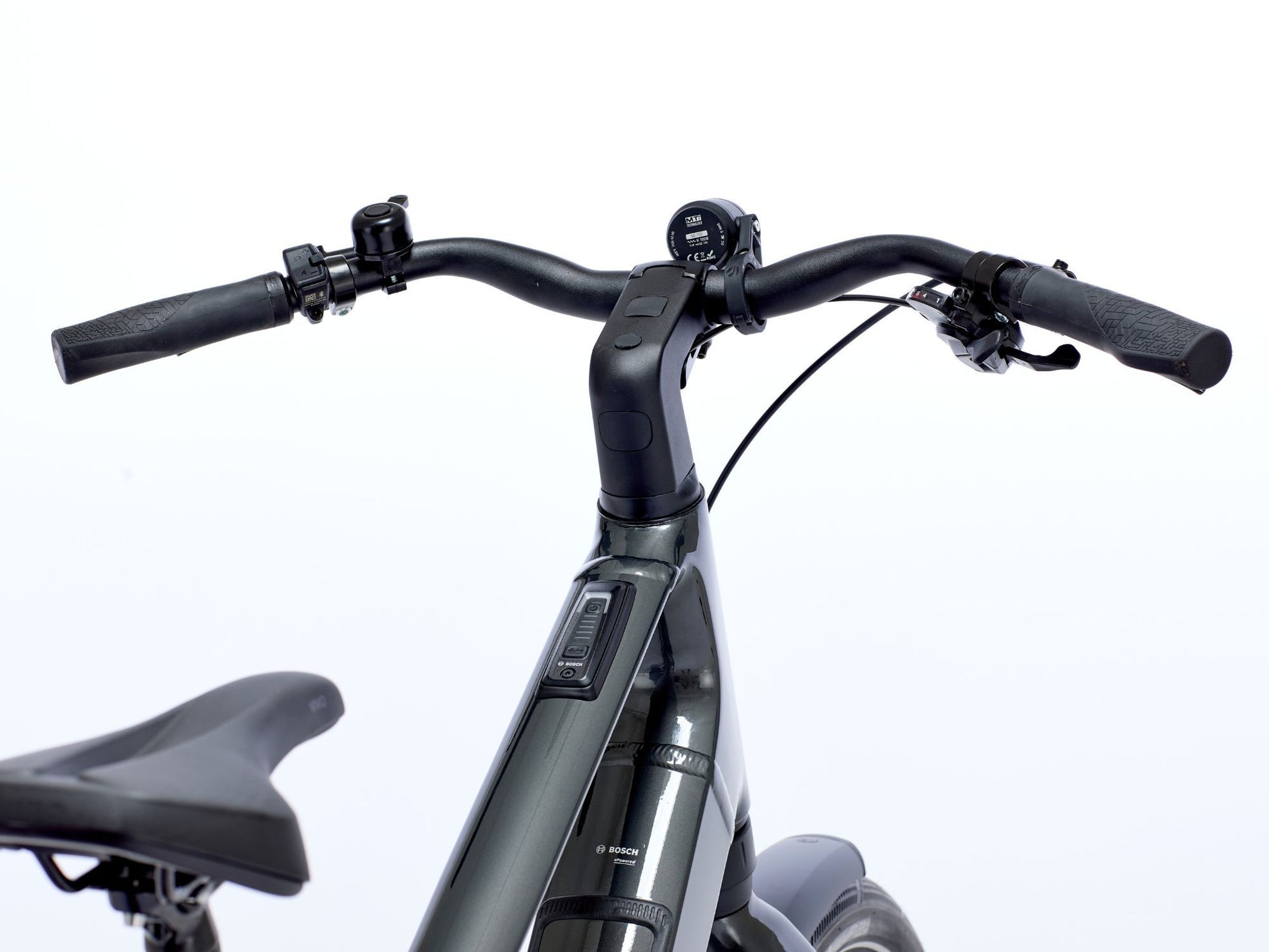DETAIL-3_RIBT1