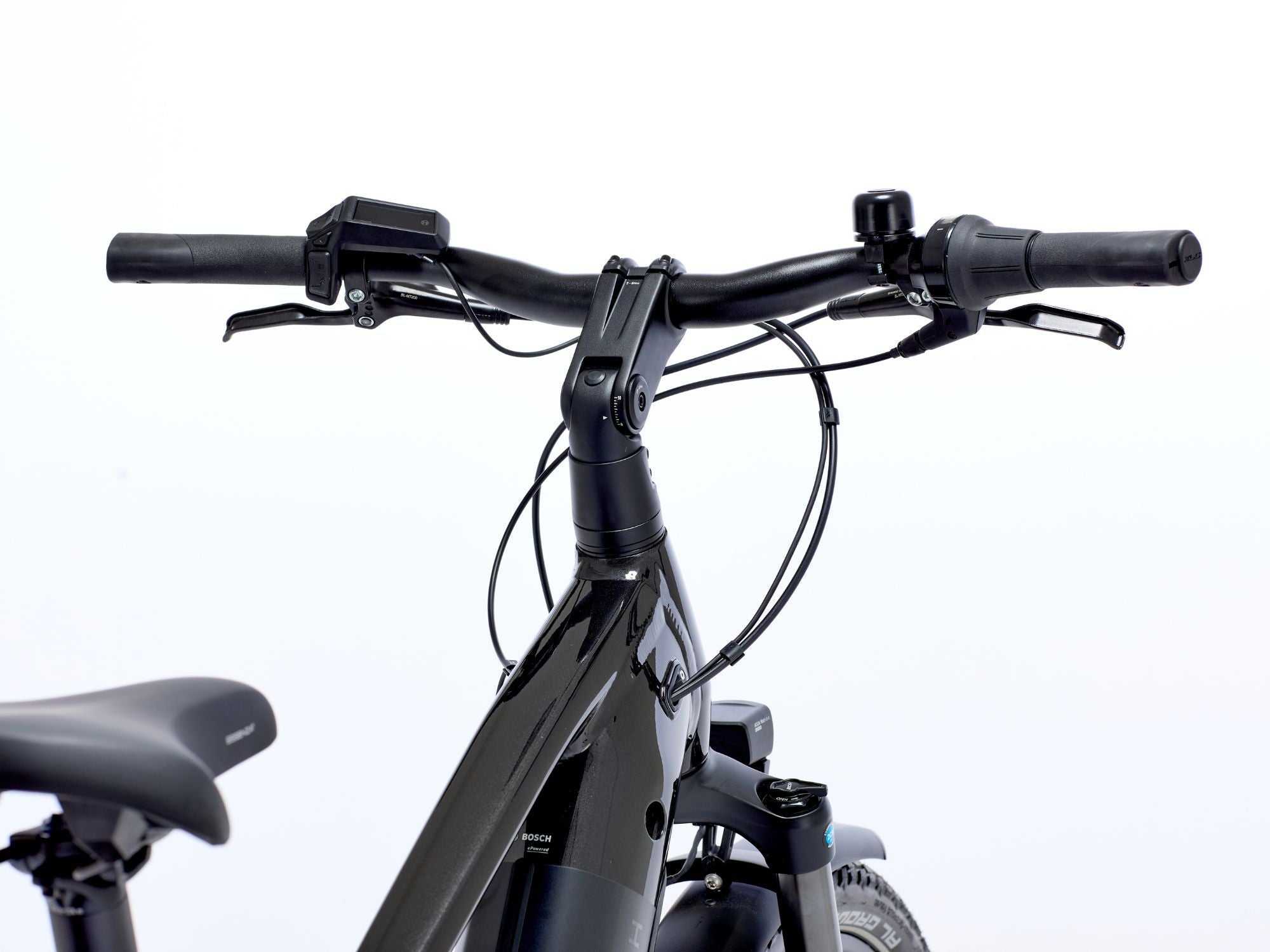 DETAIL-3_RNGT1