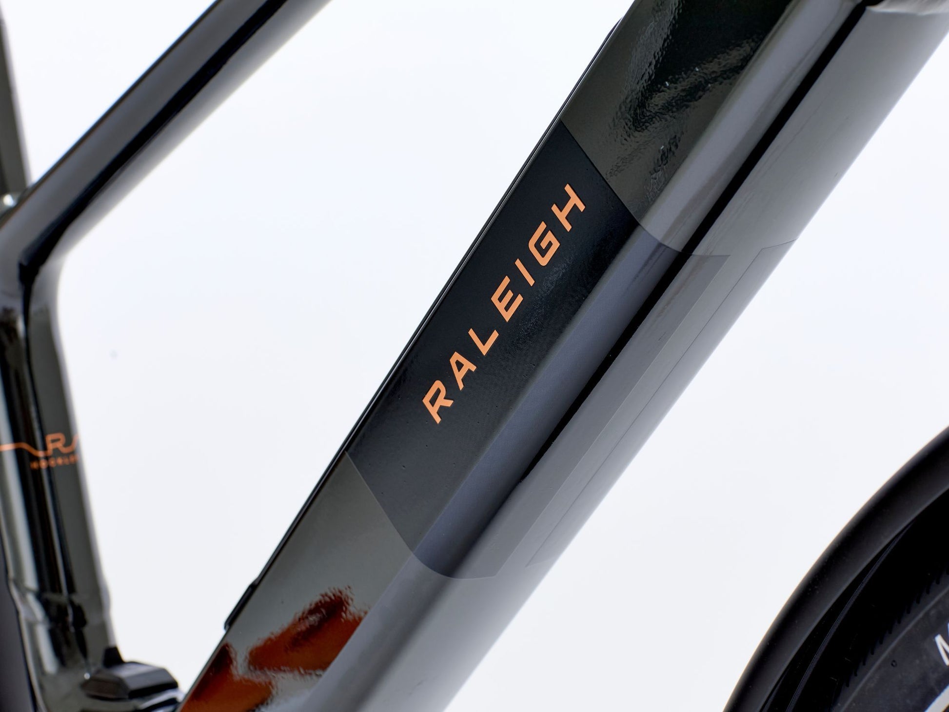 DETAIL-4_RIBT1