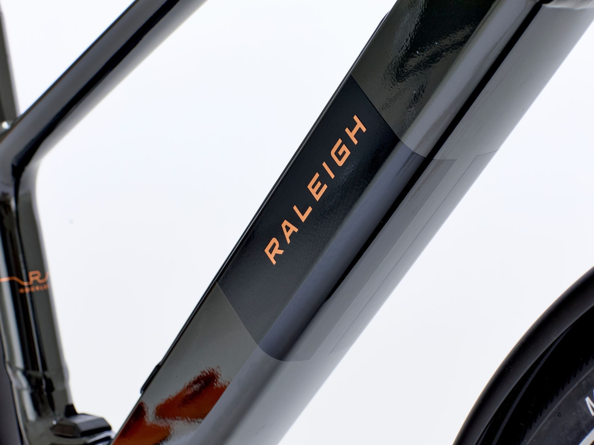 DETAIL-4_RIBT1