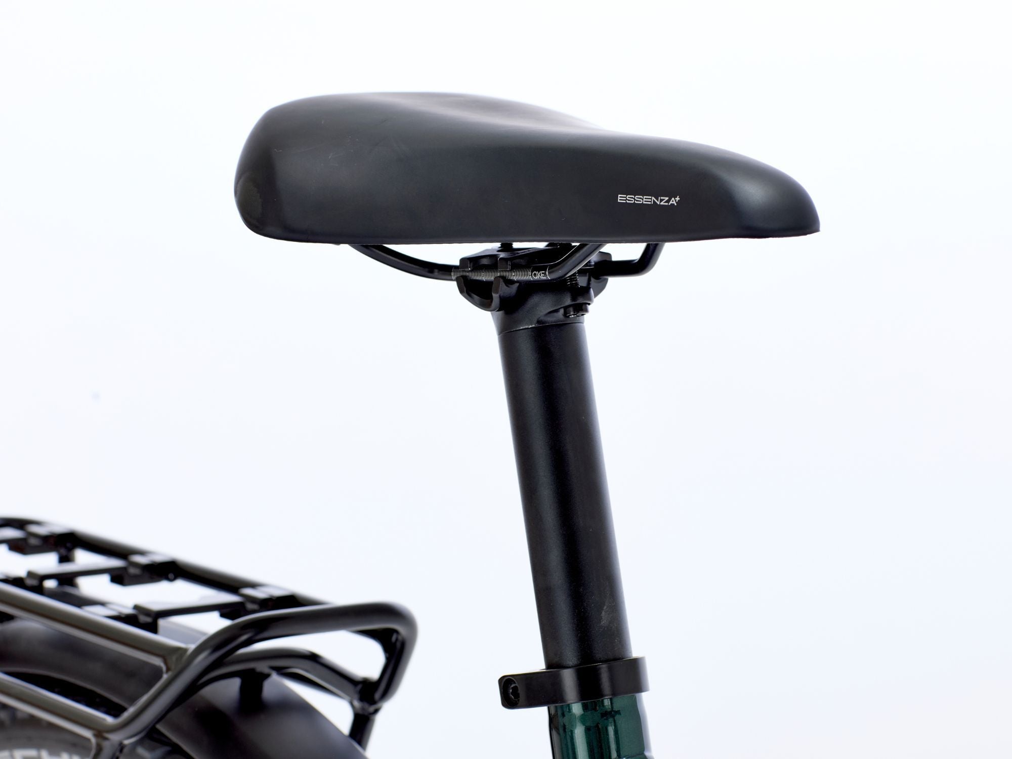DETAIL-6_RNIT1